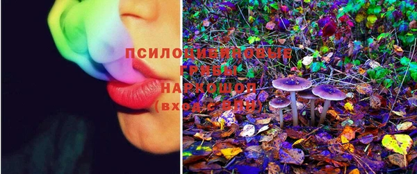 mdma Кукмор
