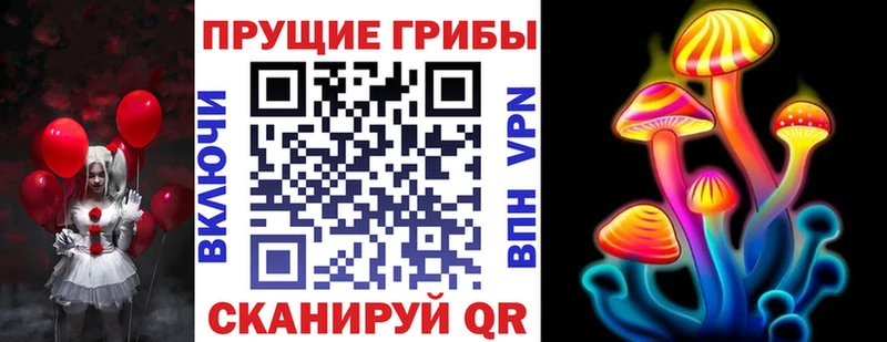 omg онион  Слободской  Галлюциногенные грибы Psilocybe 