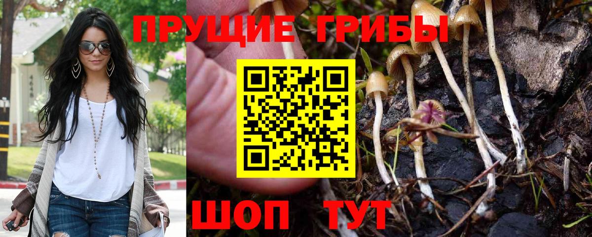 Слободской  Псилоцибиновые грибы ЛСД  Псилоцибиновые грибы GOLDEN TEACHER  Вход с VPN 